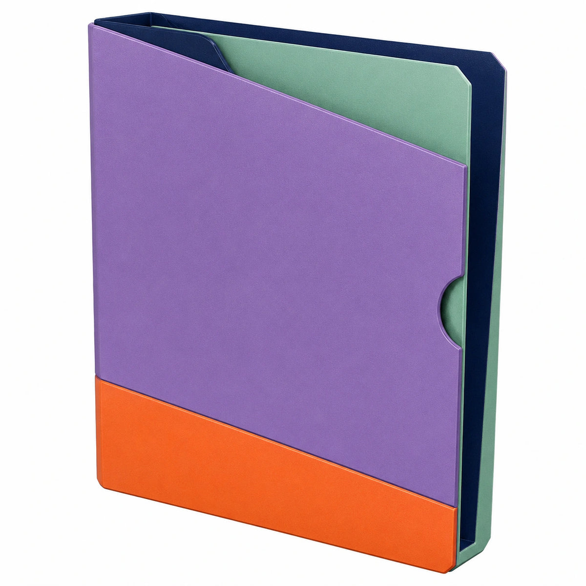 Carpeta de Cartón Multicolor para Documentos A4