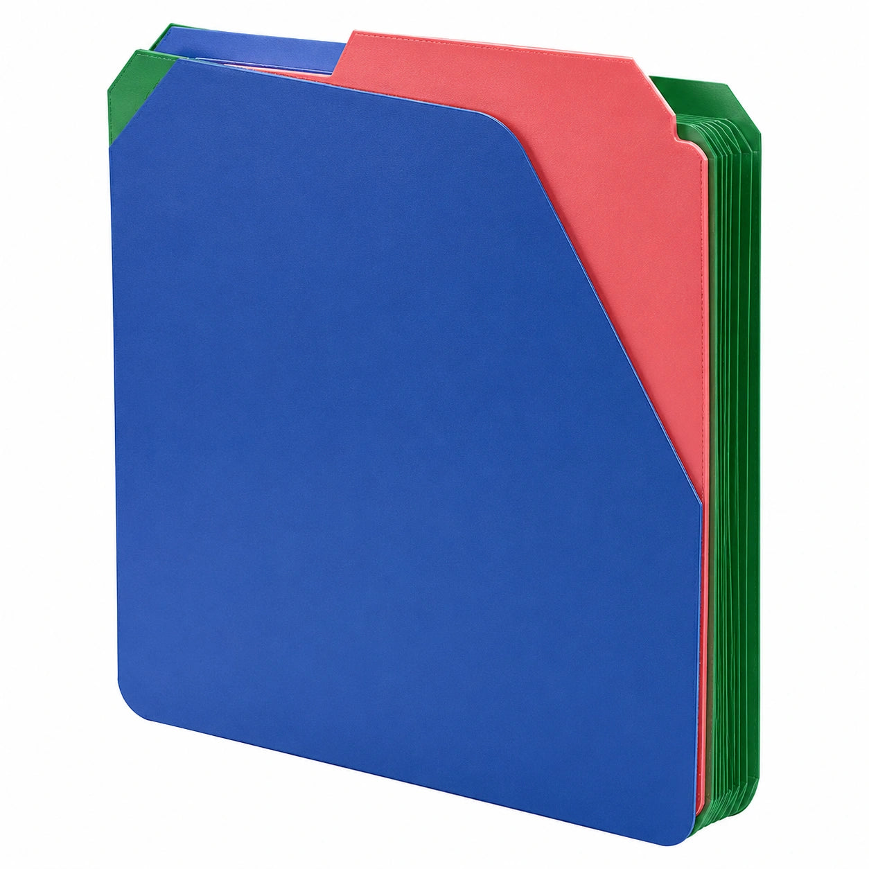 Carpeta Organizadora Expansible Multicolor para Documentos A4