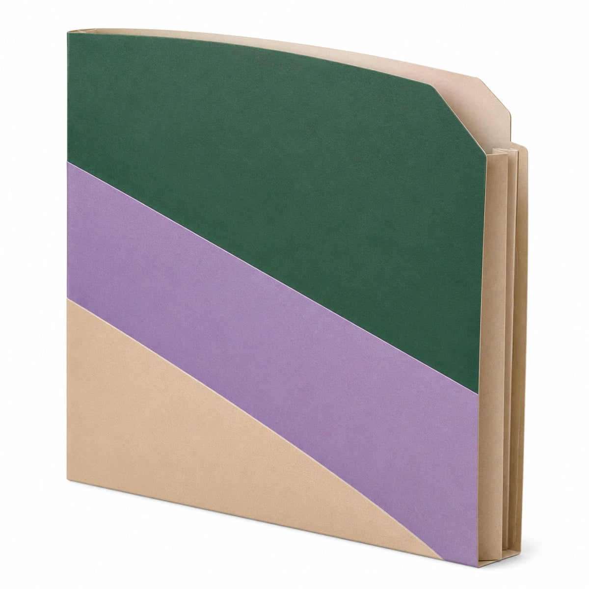 Carpeta organizadora multicolor con separadores 32x24 cm